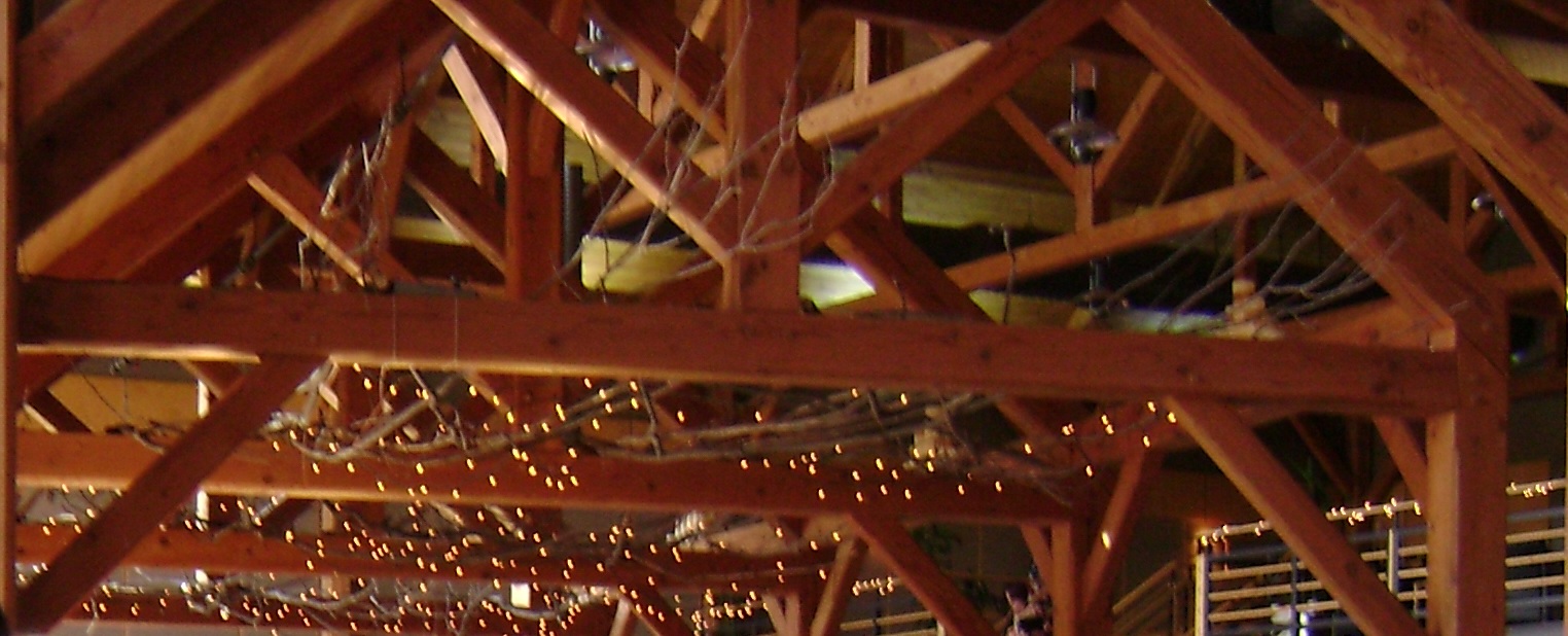 Skan-Lodge-Wedding_Beams-Lights-Ceiling